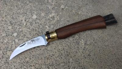 Couteau pliant à champignons Old Bear - manche 11 cm noyer traité à l'huile
