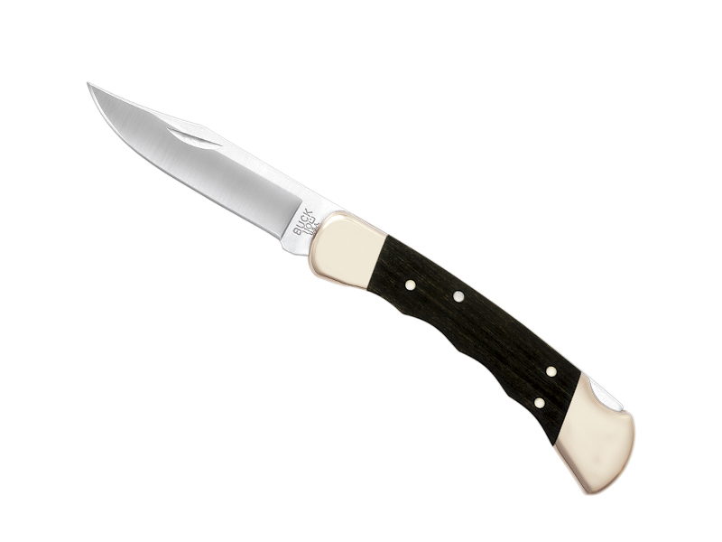 Couteau Buck Hunter n° 110BRSFG - manche 12,5 cm ébène avec empreinte de doigts
